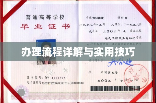 大关办理流程详解与实用技巧