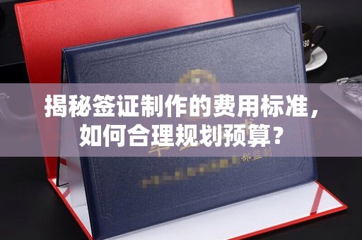 大关揭秘签证制作的费用标准，如何合理规划预算？