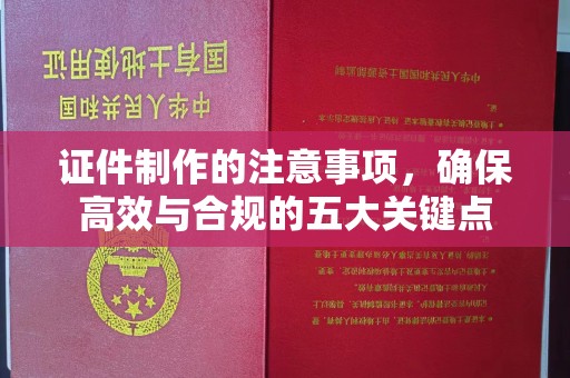 大关证件制作的注意事项，确保高效与合规的五大关键点