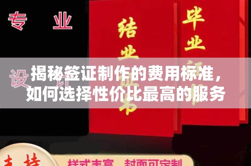 大关揭秘签证制作的费用标准，如何选择性价比最高的服务？