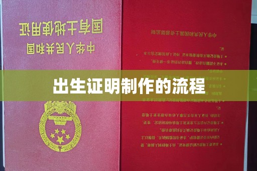 大关出生证明制作的流程