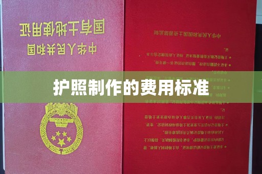 大关护照制作的费用标准
