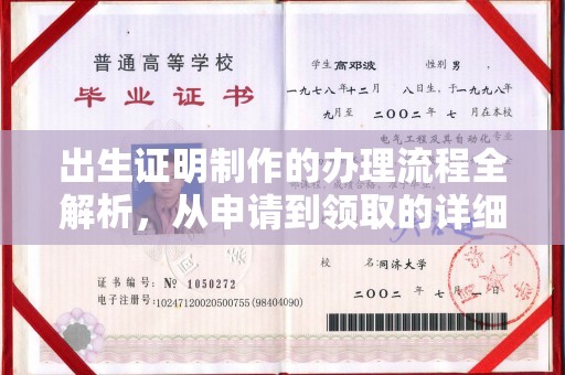 大关出生证明制作的办理流程全解析，从申请到领取的详细指南