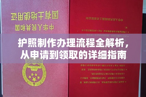 大关护照制作办理流程全解析，从申请到领取的详细指南